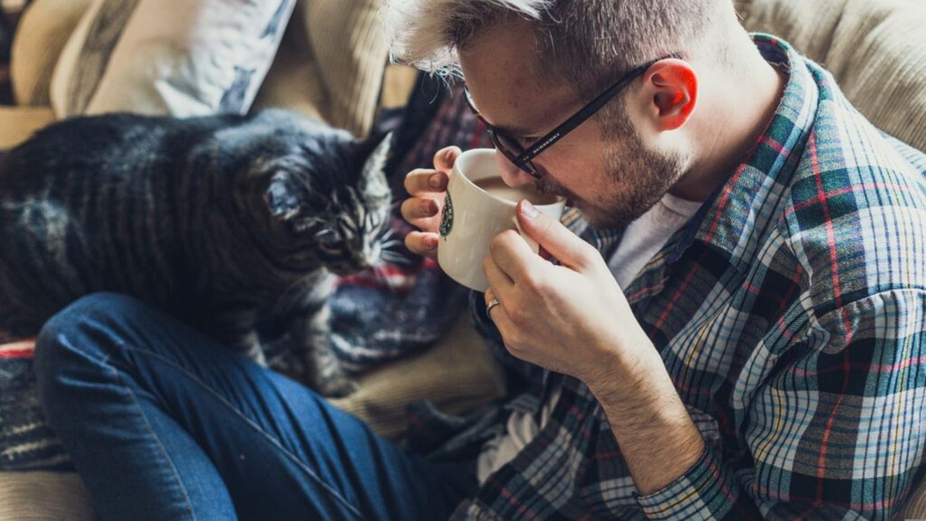 Băutura de dimineață care ar putea reduce stresul, potrivit unui studiu / Cât ar trebui să consumi pentru efecte benefice