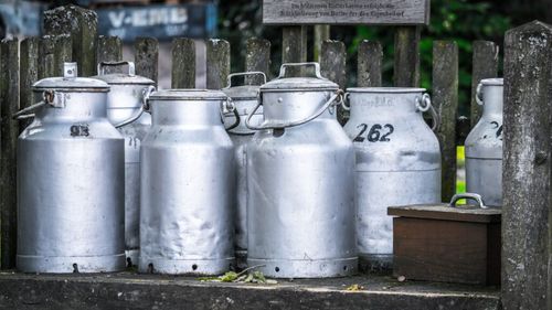 Creştere cu aproape 4% a cantităţii de lapte de vacă pe care unităţile procesatoare au colectat-o în primele şase luni (INS)