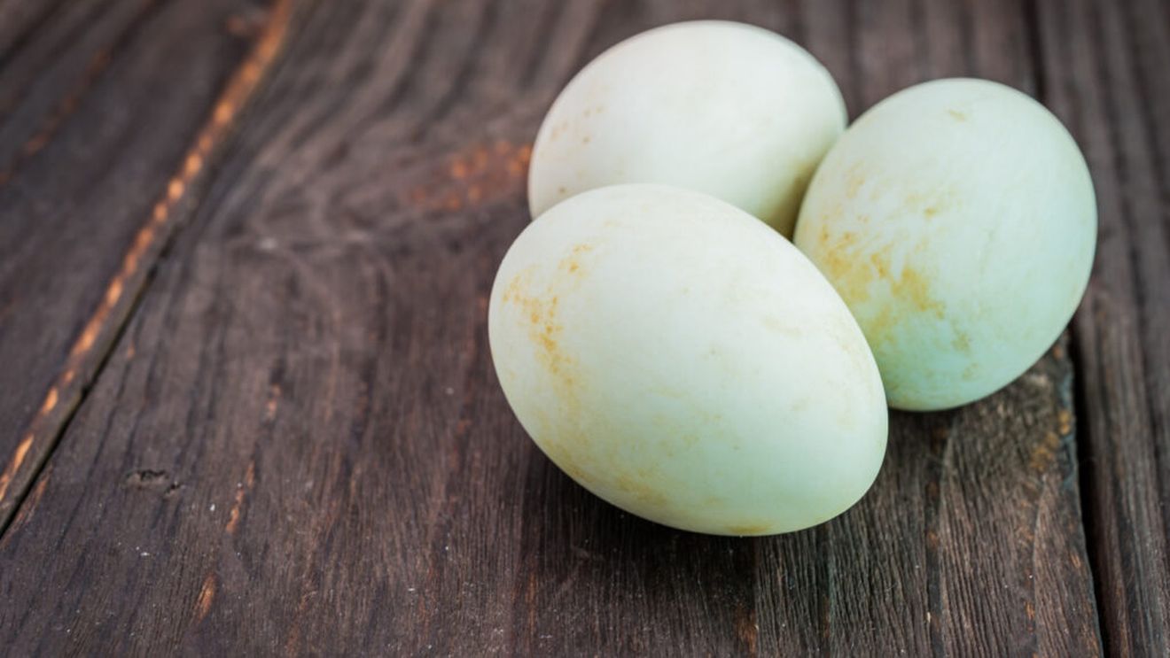 Trei cazuri de toxiinfecţie alimentară la Vaslui / Persoanele au consumat ouă de raţă