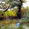 Asociația Patronatelor din Turism Delta Dunării cere decolmatarea de urgență a canalului Uzlina. Accesul spre mai multe localități turistice este îngreunat