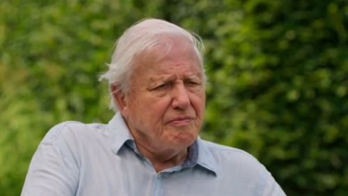 Ce mănâncă Sir David Attenborough la 100 de ani / Naturalistul spune că și-a schimbat complet alimentația: „Am devenit mult mai vegetarian decât credeam că voi fi vreodată”