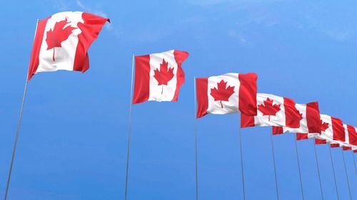 Canada obține reduceri majore de taxe pentru exporturile agricole după un acord semnat cu China /  La schimb, Canada acceptă concesii pe piața auto