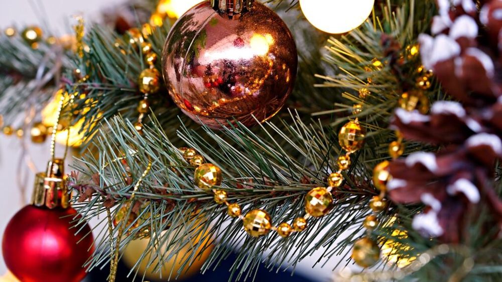 Avertisment bizar al Agenției Federale pentru Siguranța Alimentară din Belgia: „Nu mâncați brazii de Crăciun!” / Cum s-a ajuns în această situație