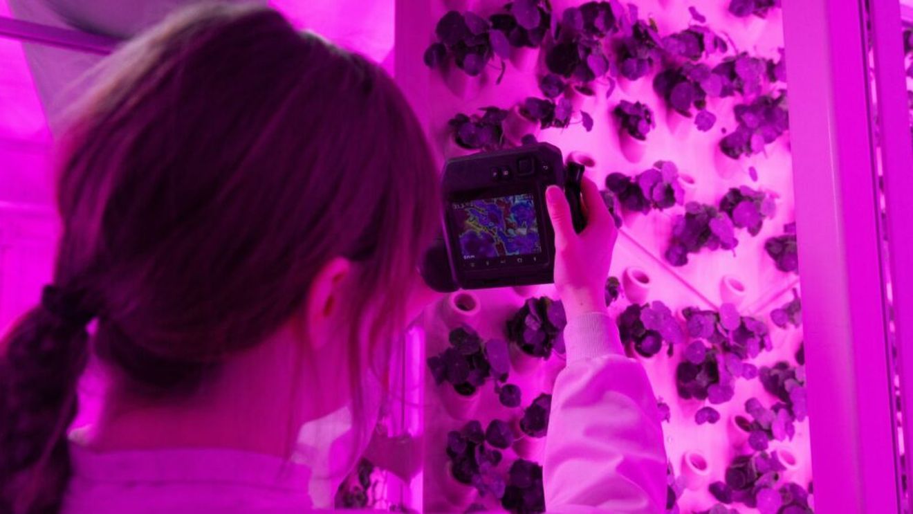 Marea Britanie: Un nou laborator robotizat vrea să creeze plante rezistente la schimbările climatice