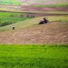 ANALIZĂ | Cine va mai produce hrana Europei? Radiografia unui schimb blocat de generații în agricultură / Cum e în România