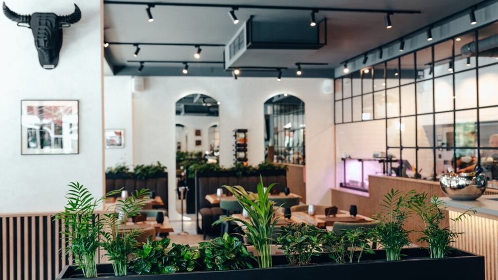 „Fermier cu valoare adăugată”: Ferma Baciu exploatează 4.000 de ha de teren, are 1.200 de bovine, stație de biogaz, abator, magazine și restaurant / Ana Baciu: „Fără tehnologie de ultimă generație nu am exista”