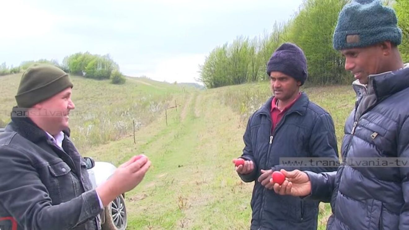 VIDEO | Printre bivoli și dor de casă / Povestea muncitorilor din Sri Lanka ajunși în România, o viață departe de casă a doi străini care muncesc într-o fermă din România