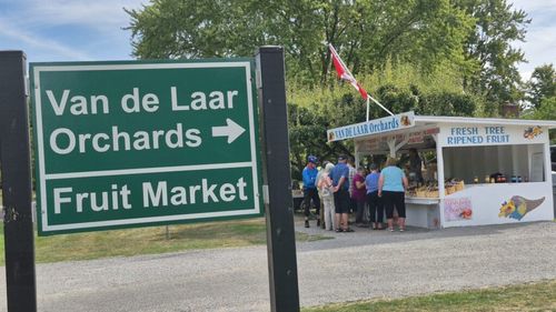 Reportaj FOTO-VIDEO | Niagara, o altfel de filosofie agricolă: crame de familie, mese la fermă, cu bucate din gospodăria proprie și evenimente culturale/ Cum pot schimba cramele-boutique viața economică și turistică a unei comunități!