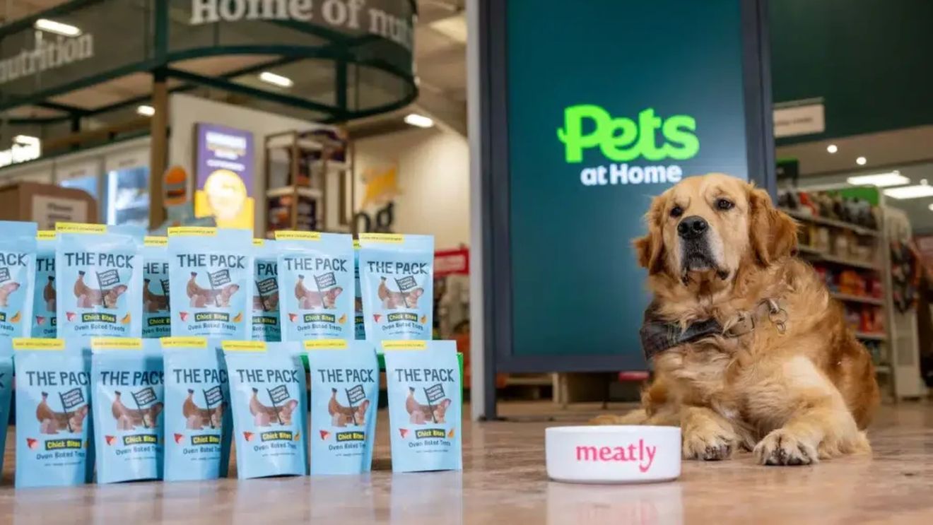 Mâncare pentru câini din carne de pui cultivată în laborator, disponibilă în premieră europeană în Marea Britanie