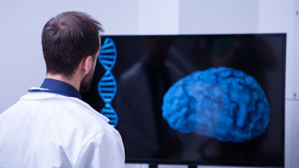 Studiu Harvard: Un ingredient extrem de popular poate îmbunătăți sănătatea creierului / Cum îl integrează zilnic în alimentație un medic