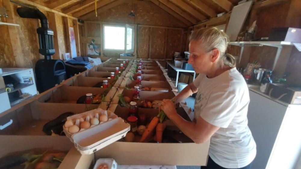 VIDEO-FOTO Coșuri cu legume și fructe bio livrate săptămânal clienților, la domiciliu. Afacere 3 în 1 la Dragșina (Timiș): fermă, Punct Gastronomic Local și loc de relaxare