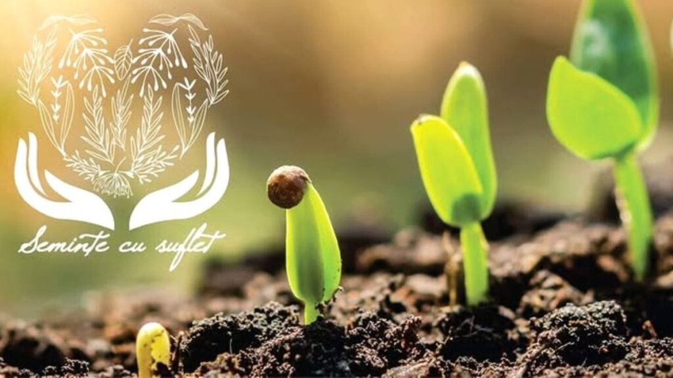 Festivalul Tomatelor şi al Biodiversităţii - pe 9 august, la Muzeul Satului, organizat de către Asociația „Seminţe cu Suflet”