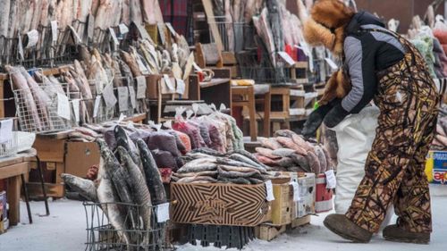 În piața din Yakutsk, carnea și peștele îngheață în câteva secunde/ Nimeni n-are nevoie de frigidere la cele -45°C de afară/ Localnicii consumă în principal supe de carne, tocane, găluște și terci