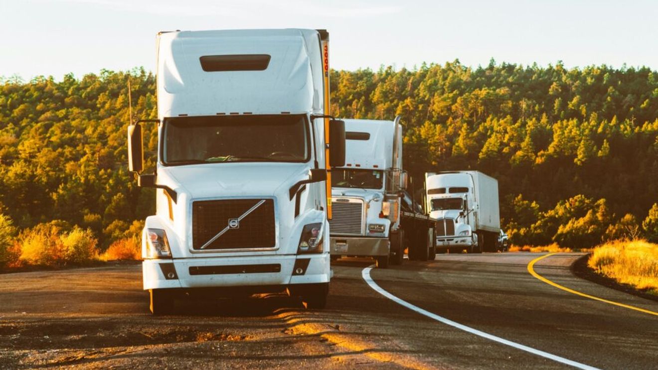 Un TIR ce transporta seminţe de floarea-soarelui conținea și haine contrafăcute în valoare de 3,5 milioane de lei/ Șoferul a fost oprit la Negru Vodă