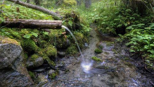 Noi dovezi contestă teoriile privind originea apei pe Pământ, arată un studiu al oamenilor de știință de la Universitatea Oxford
