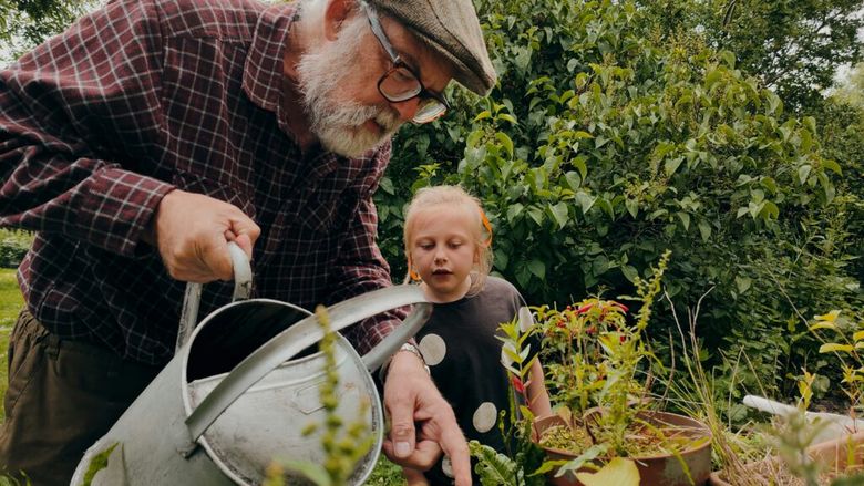 De ce bunicii nu cumpărau afine și rozmarin: 18 plante pe care le plantezi o dată și le culegi ani la rând / Alternativa la prețurile din supermarket