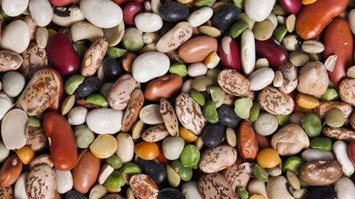Cinci rețete cu cinci tipuri de fasole diferite/ Preparate tradiționale, românești și nu numai, pentru a pune în valoare acest super aliment