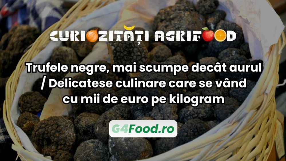 Curiozitate agri-food: Trufele negre, mai scumpe decât aurul / Delicatese culinare care se vând cu mii de euro pe kilogram
