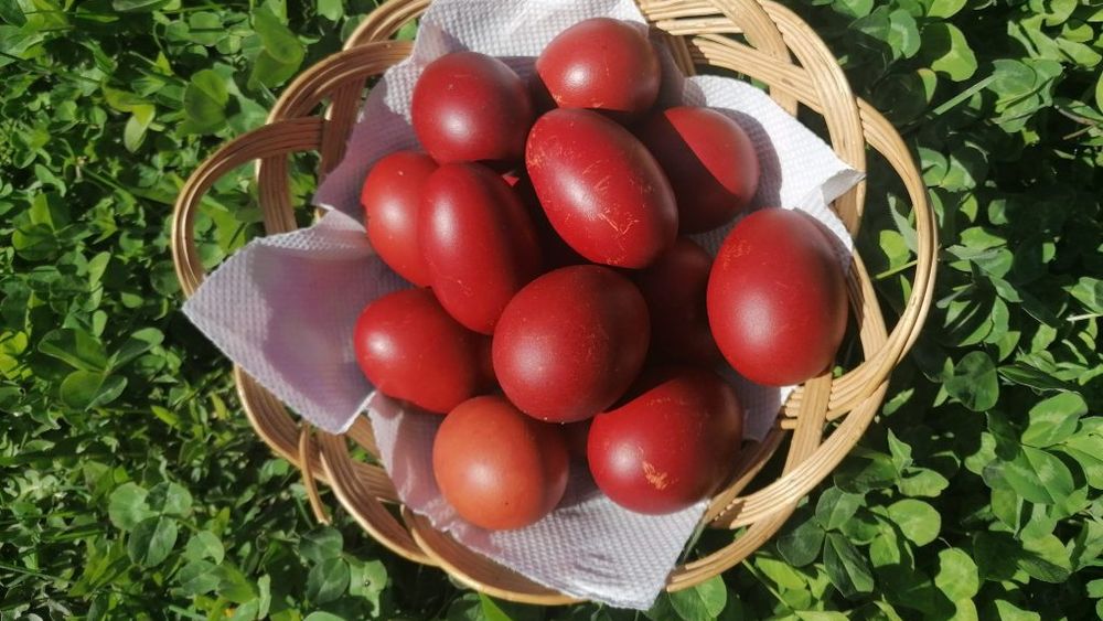 România ocupă locul 9 în Uniunea Europeană la efectivele de găini ouătoare, dar procentele de creștere în sistem free range și bio rămân foarte scăzute, în comparație cu țările din vestul și nordul continentului