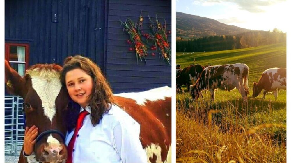 Roxana din Bacău a plecat, acum 12 ani, în Norvegia pentru a culege căpșuni. Acum, la doar 30 de ani, deține o fermă de vaci: „Se câștigă ok. Aici, în Norvegia, omul de rând este pe aceeași linie cu politicienii”