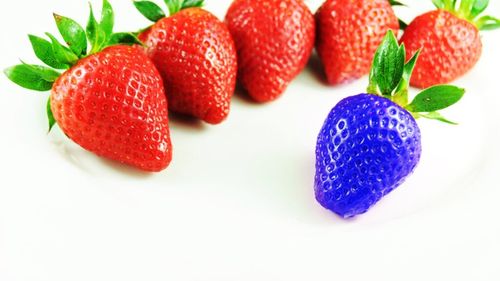 Diversitatea genetică a plantelor şi a animalelor este în declin la nivel mondial, arată un studiu australian / Acţiunea ecologiştilor ajută la reducerea acestor pierderi 