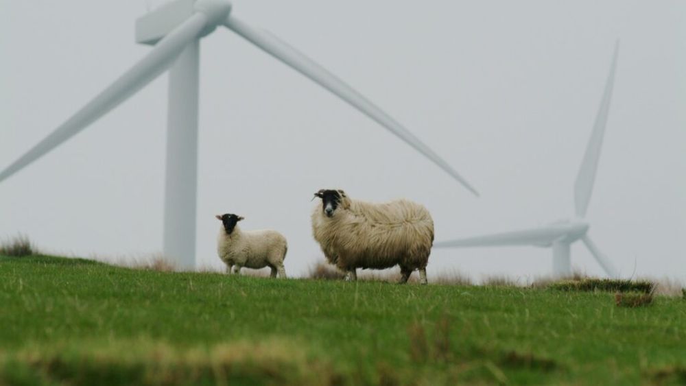 Ce soluție a găsit un fermier american din Iowa să scape de datorii: a montat turbine eoliene pe terenul său agricol