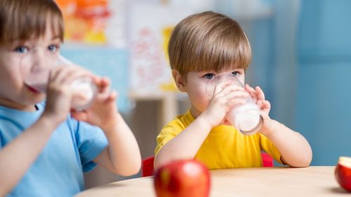 Guvernul suplimentează şi finanţarea Programului naţional „Masă sănătoasă” cu aproape 100 de milioane de lei / De program vor beneficia circa 460.000 de copii