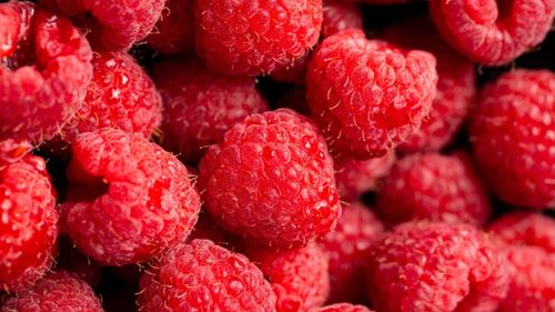 Câteva lucruri mai puțin știute despre zmeură/Poate preveni diabetul și protejează împotriva unor boli cronice și cancer