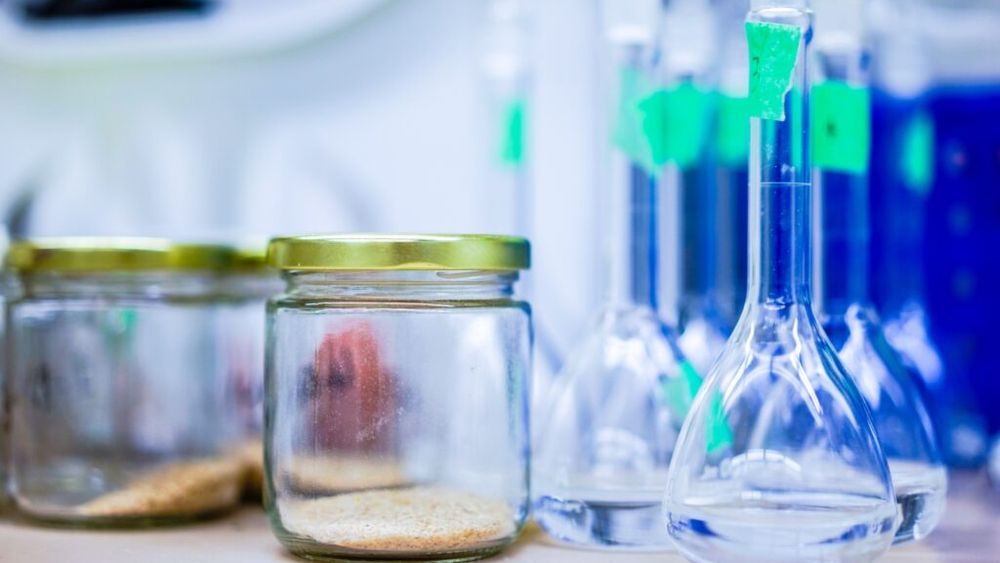 Microbiota intestinală: Sensibilitatea la alimentele procesate variază de la un individ la altul (studiu)