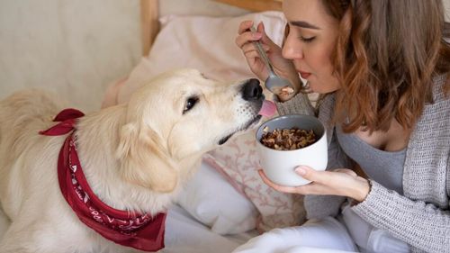 Meniul câinilor și pisicilor este din ce în ce mai asemănător cu cel al proprietarilor lor, arată un studiu din Italia dedicat tendințelor de consum