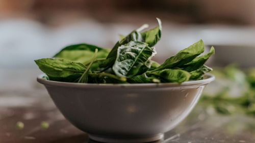 Guvernul României subvenționează producția de spanac în spații protejate: 1000 de euro per tonă