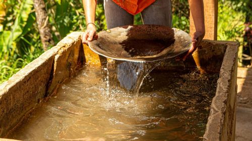 Ucraina interzice utilizarea uleiului de palmier în produsele alimentare, în special în cele pentru copii