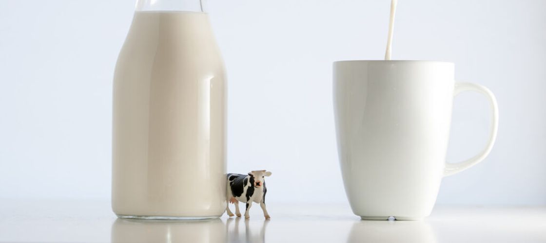 Cât de sigur pentru consum este laptele crud? Ce se poate ascunde într-un pahar de lapte nepasteurizat