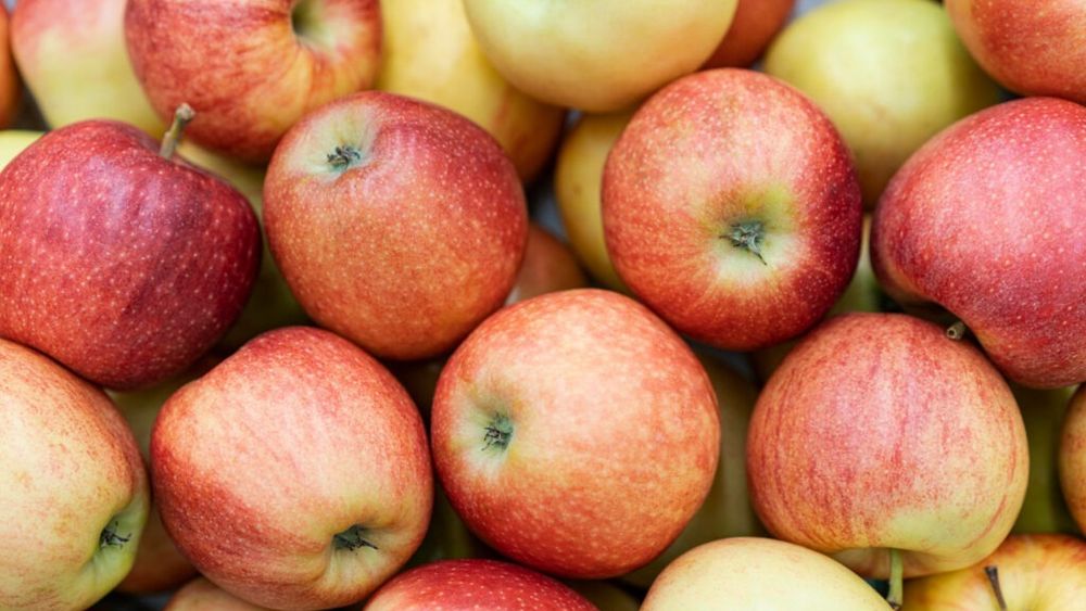 Banalul măr este unul dintre cele mai complete fructe / Un nutriționist japonez dezvăluie care sunt cele cinci fructe ideale pentru longevitate și un creier sănătos 