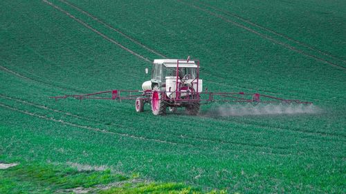 INS: În anul 2023 s-au folosit 3.992 tone fungicide şi 9.188 tone erbicide, sub formă lichidă, pentru protecția plantelor / 86,8% din suprafaţa cultivată cu grâu a fost tratată cu produse de protecţie a plantelor