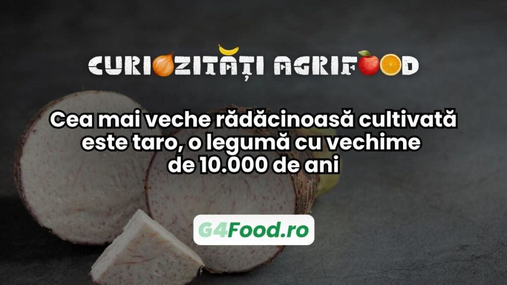 Curiozități agrifood - 27 iunie | Cea mai veche rădăcinoasă cultivată este taro, o legumă cu vechime de 10.000 de ani