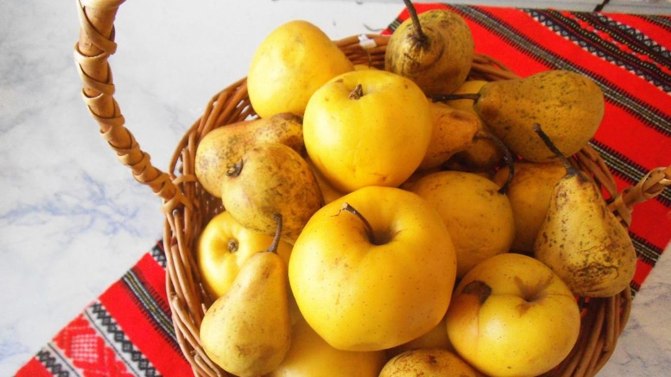 Piața merelor: importurile au atins anul trecut cea mai mare valoare din ultimii 15 ani