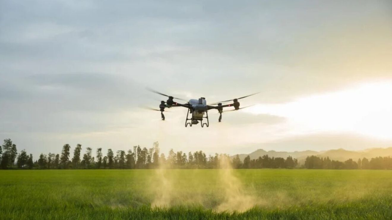 Virusuri pentru a combate bacteriilor, roboți pentru agricultură și senzori inteligenți care detectează alimentele alterate. Inovațiile tehnologice care transformă agricultura și industria alimentară