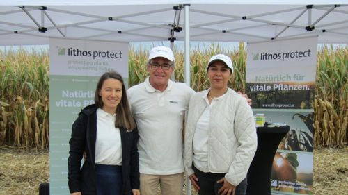 Lithos Protect, o promisiune pentru cultivatorii români de porumb. Noul produs biologic combate eficient Diabrotica virgifera