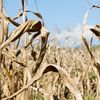 Super El Niño se intensifică în Oceanul Pacific. Organizația Meteorologică Mondială avertizează asupra riscului de secetă, ploi extreme și valuri de căldură