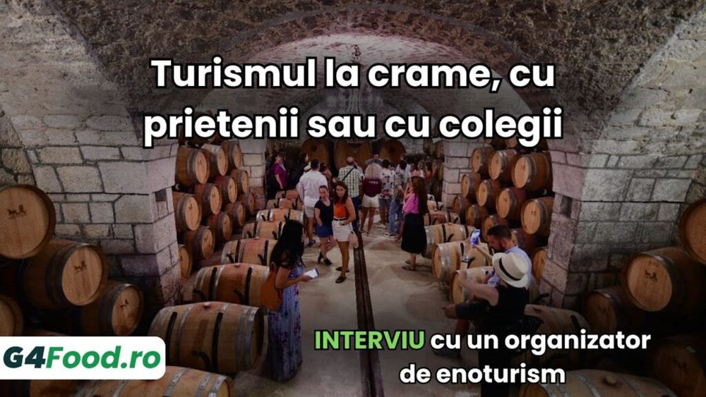 VIDEO: Interviu cu Ovidiu Logigan, organizator de enoturism (turism la crame). Avantajele unei excursii în grup bine organizat