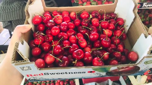 Profesorii de la Universitatea de Horticultură din Iași explică de ce cireșele care sunt acum pe piață nu au gust: „Nu au avut timp să acumuleze zahăr”