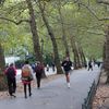 Europenii fac mai multă mișcare decât în urmă cu patru ani / A scăzut puternic numărul celor care nu fac niciodată sport