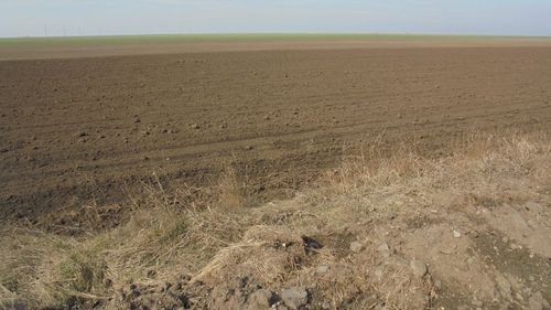 Cum umflă propaganda rusă o dezbatere din Moldova despre ”vânzarea terenurilor către străini” cu puțin înainte de referendumul de aderare la UE / Nezavisimaia Gazeta: Moldovenilor li se propune să-și vândă satele / Pentru aderare, republica va trebui să se achite cu pământ