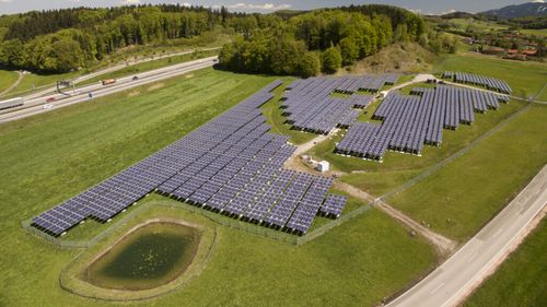 Panourile solare care „protejează” hameiul de căldură și secetă. Soluția unui fermier din Bavaria care produce și energie, și bere