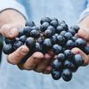 Strugurii, fructul recomandat de specialiști pentru sănătatea intestinului, inimii și creierului / Ce au descoperit cercetătorii despre polifenoli