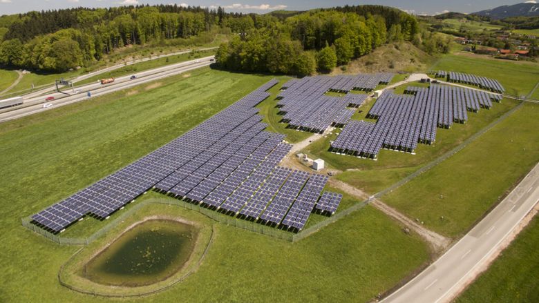 Panourile solare care „protejează” hameiul de căldură și secetă. Soluția unui fermier din Bavaria care produce și energie, și bere