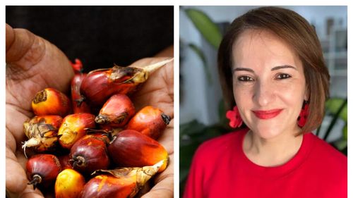 Uleiul de palmier – Cum se obține și de ce este controversat / Tania Fântână (nutriționist): „Uleiul de palmier face ca făinoasele să aibă acel gust irezistibil, de parcă ți se topesc în gură. Din păcate, chiar și produsele mai scumpe au acest ingredient în compoziție”