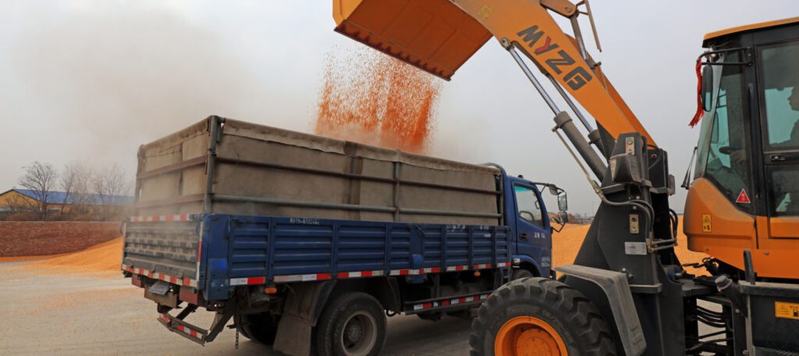 China ar trebui să înceteze să mai acumuleze stocuri de alimente și îngrășăminte / Avertismentul lansat de fostul director al Băncii Mondiale