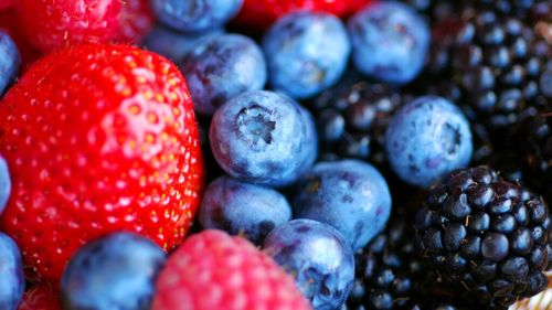 Antioxidanții naturali din fructe și legume ar putea proteja fertilitatea afectată de microplastice / Un nou studiu deschide perspective promițătoare